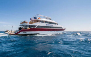 Emperor Elite, Red Sea, Egypt
