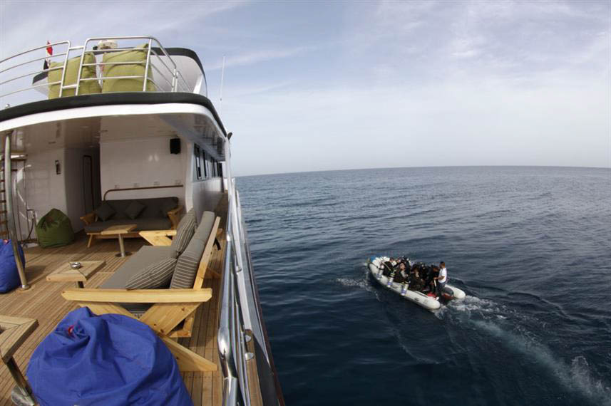 Emperor Elite, Red Sea, Egypt