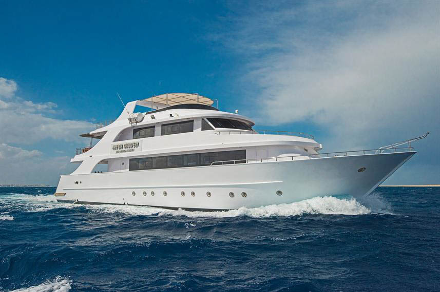 Discovery 1, Red Sea, Egypt