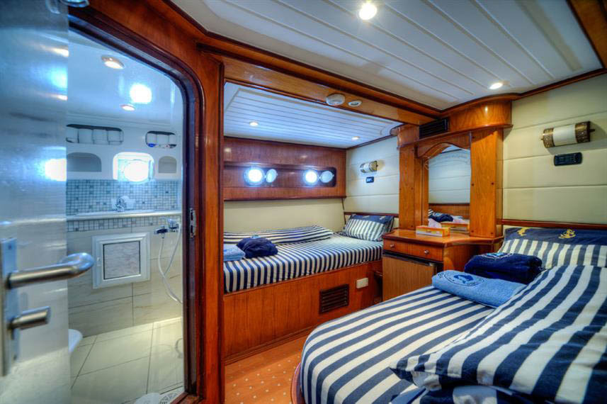 Golden Dolphin, Red Sea, Egypt Golden Dolphin