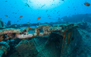 Thistlegorm Wreck Diving