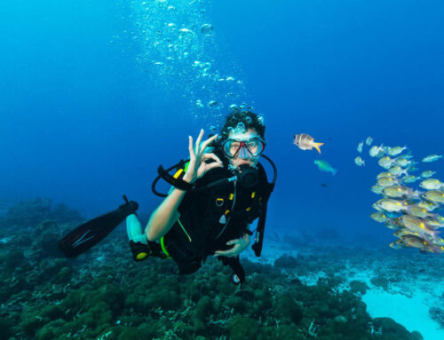 Is Nitrox Worth It in the Red Sea? Here’s What Every Diver Should Know